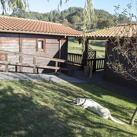 Nocleg ze śniadaniem Quinta Da Fontinha Celorico De Basto