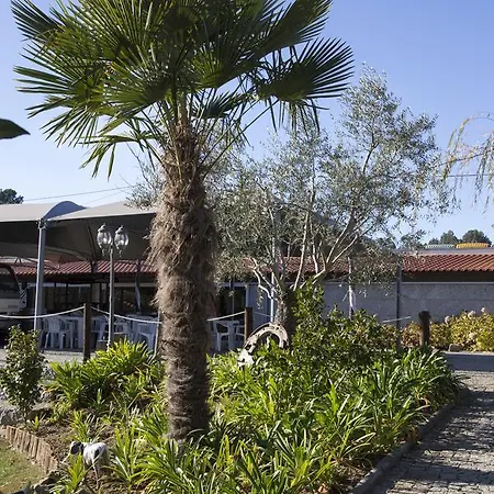 Quinta Da Fontinha Celorico De Basto