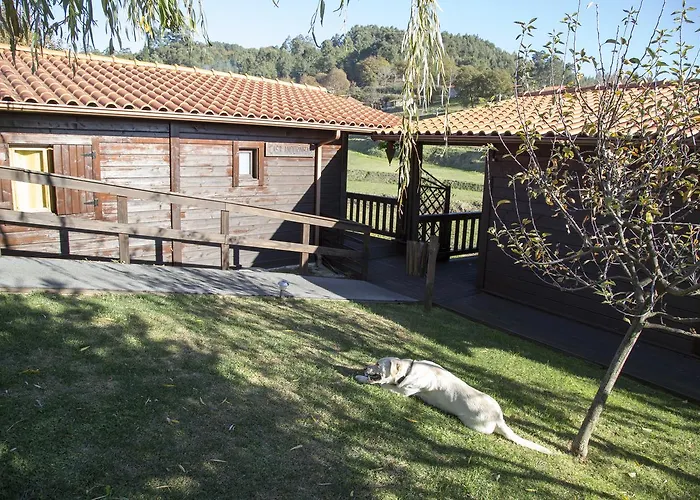 Frühstückspension Quinta Da Fontinha Celorico De Basto